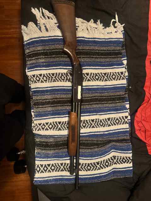 Mossberg 500 20ga