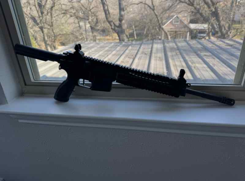 Sig 516 / Palmetto Lower w Franklin Armory Trigger