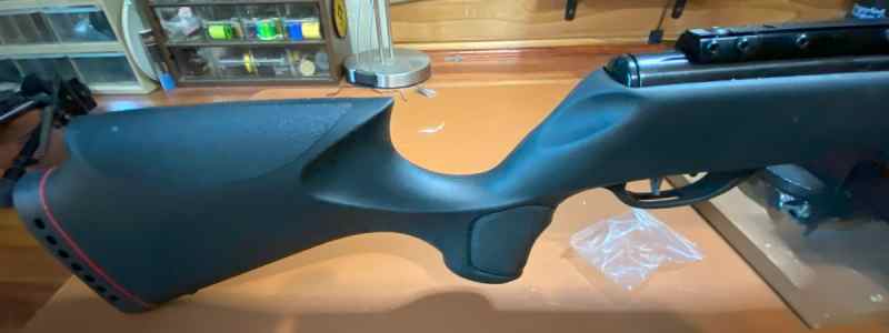 Gamo3.jpg