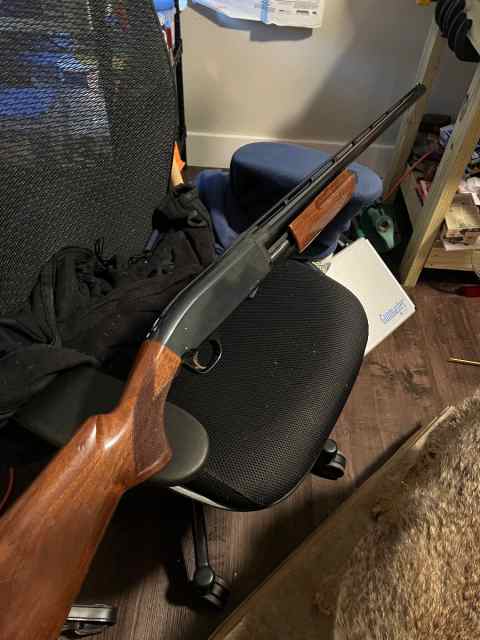 Browning BPS 12ga need gone asap