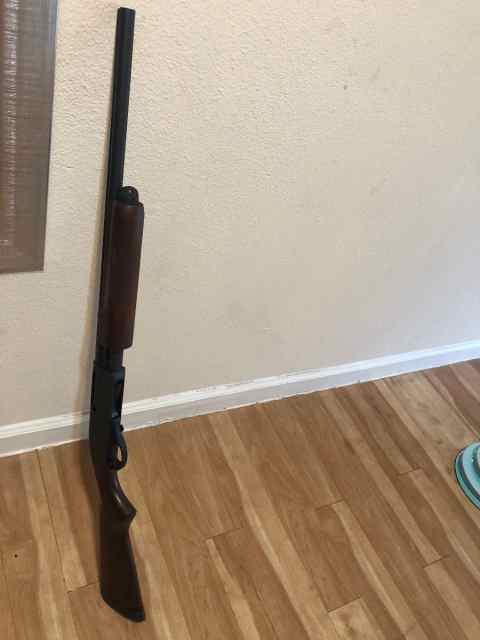 Remington 870 20 gauge