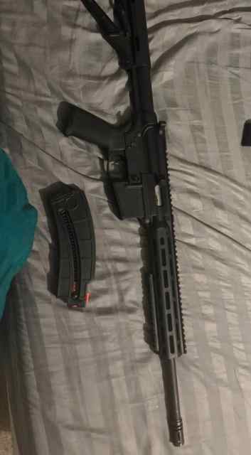 .22 rifle 