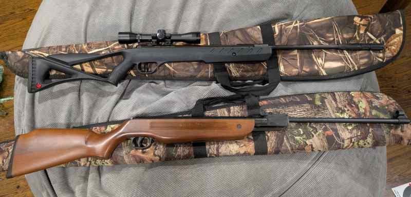 2 pellet guns for sale ruger and winchester