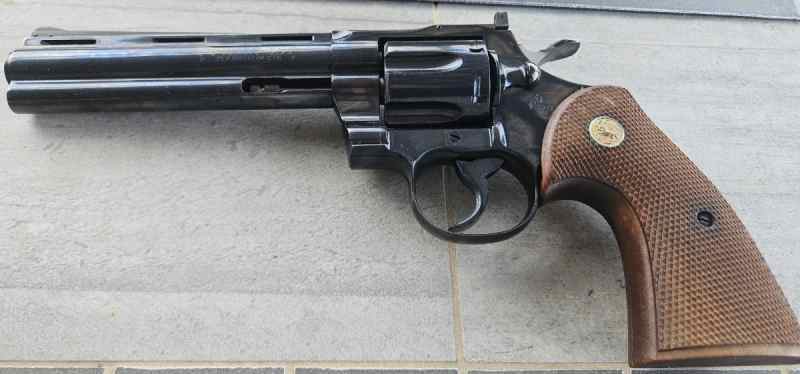 Python left view.jpg