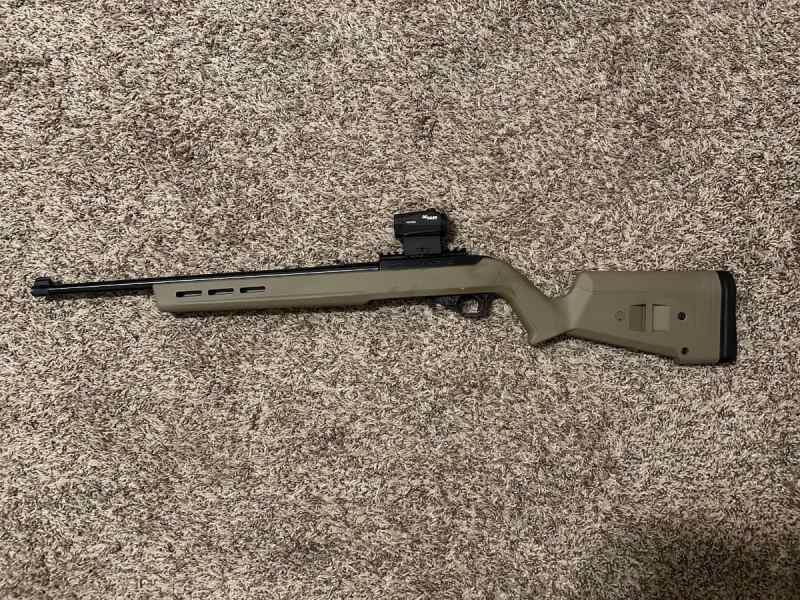 ruger.jpeg