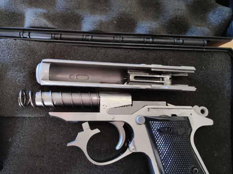 PPK/s 380 ACP