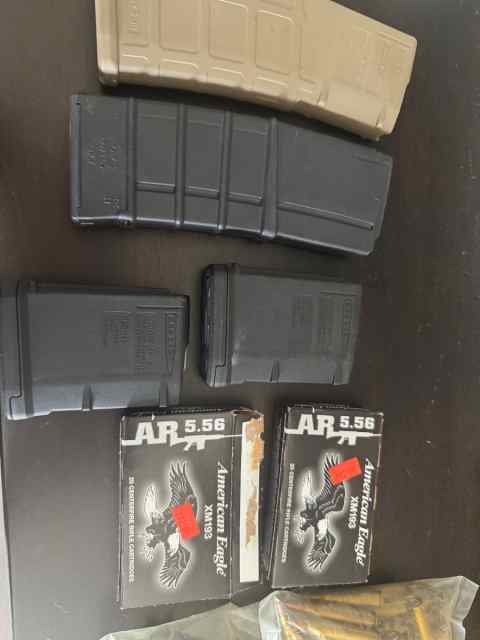Assorted ammo and magazines 