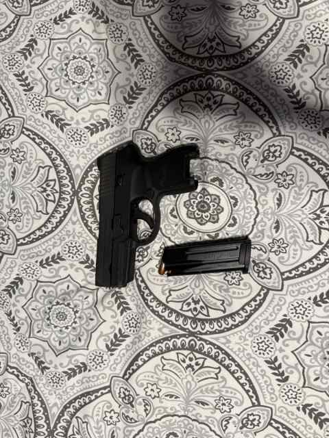 sig p250 subcompact
