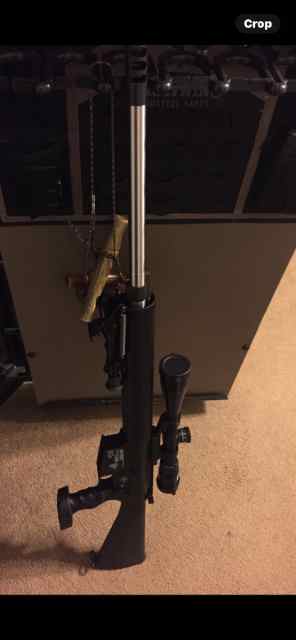 Dpms 308 long rifle