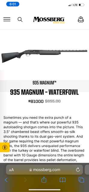 Mossberg 935 magnum - waterfowl 