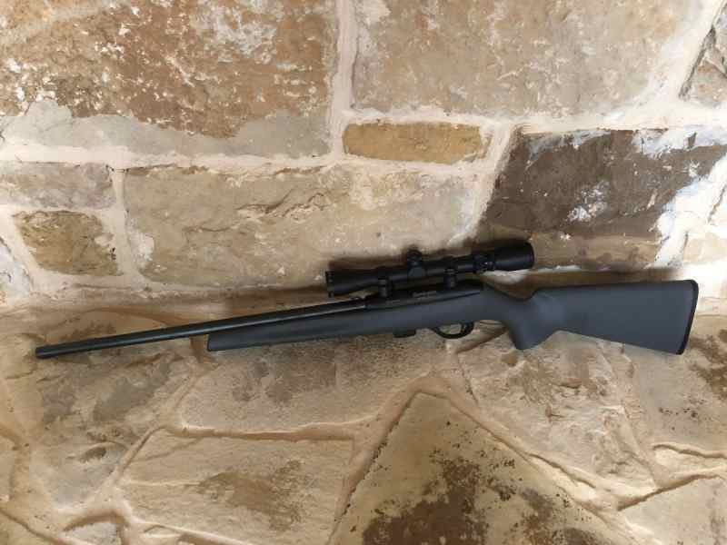 Remington 597 .22LR