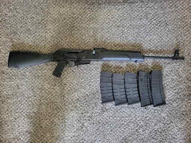 saiga1.jpg
