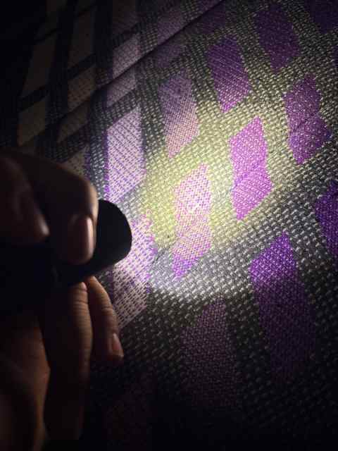 IMG_1510.jpeg