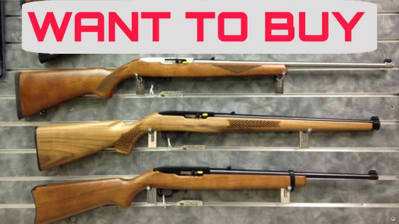 Want to Buy: Ruger 10/22 Carbine