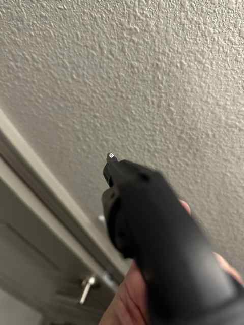 IMG_6394.jpeg