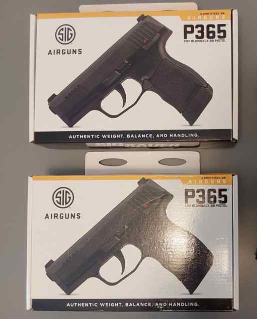 BB P365 3.jpg