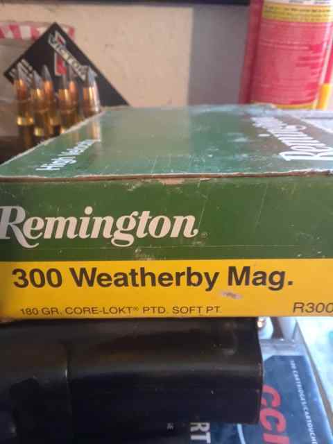 300 Weatherby mag ammo