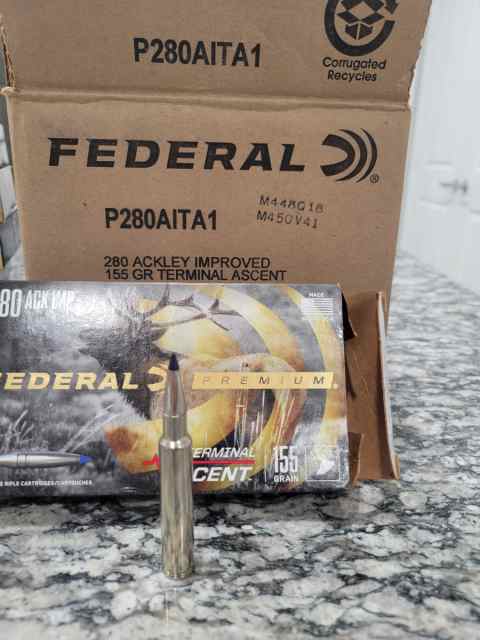 20250429_095344.jpg