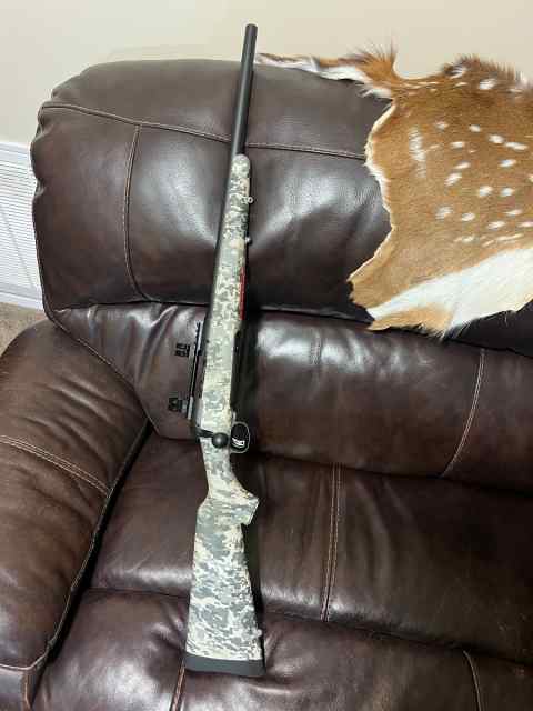 Savage 223