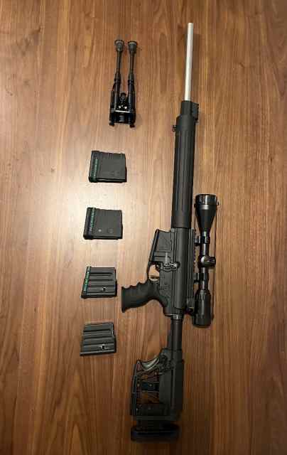 AR10 in .308