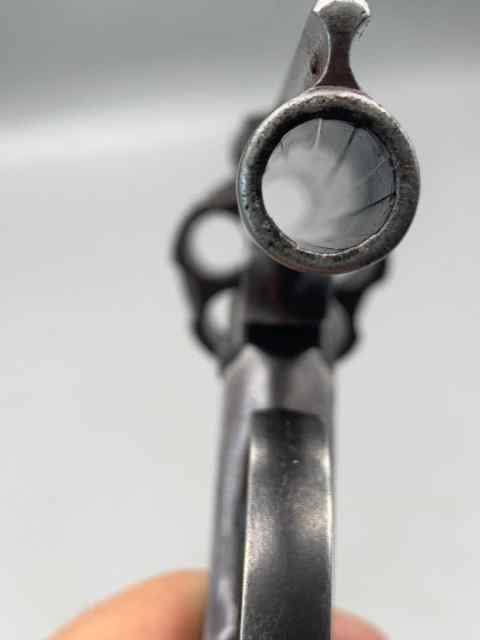 IMG_7384.jpeg