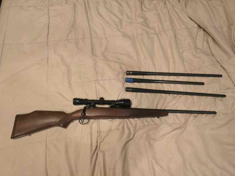Savage 10/110 with 4 barrels