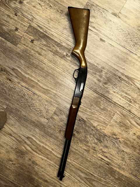 .22 Winchester 