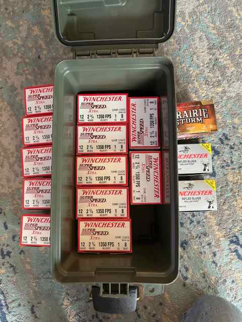 Ammo - 12GA 685 Shells Various Brands